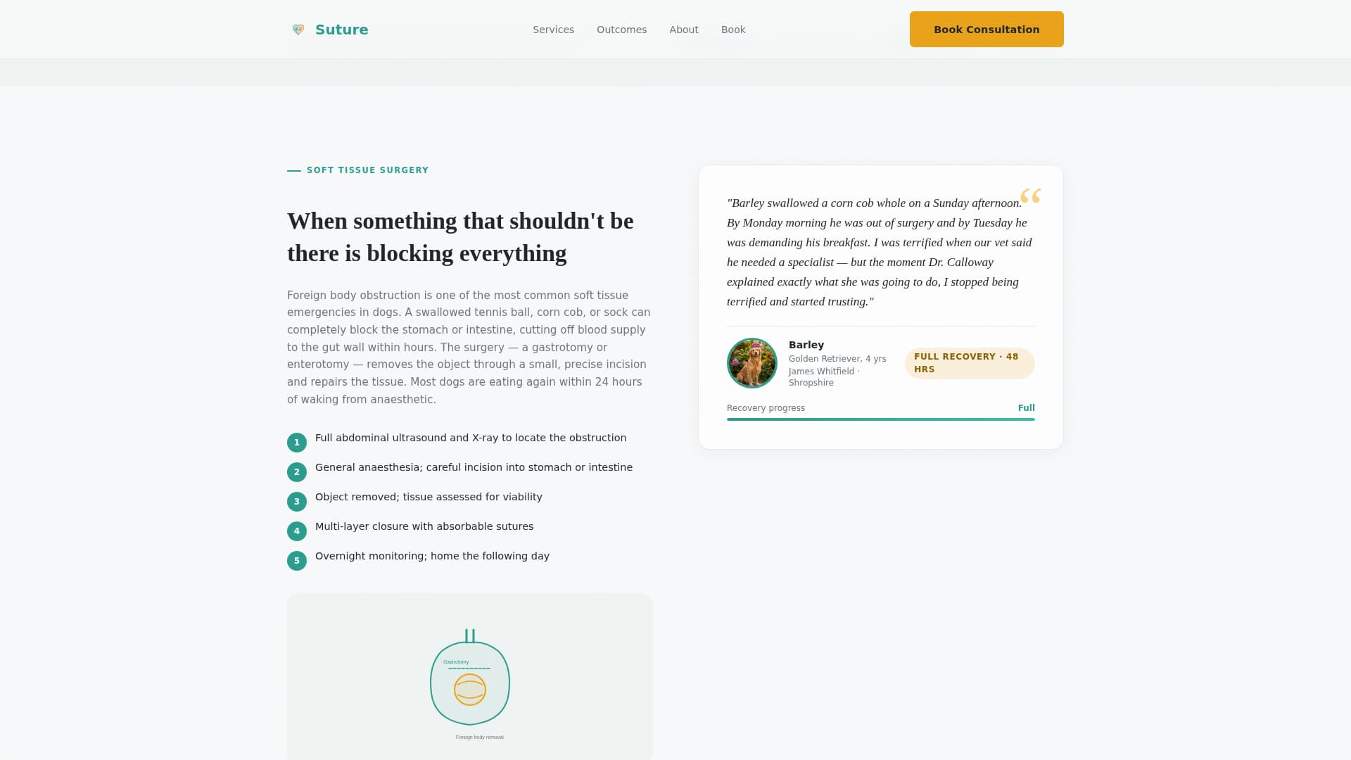 Suture - Trusted Veterinary Landing Page Template