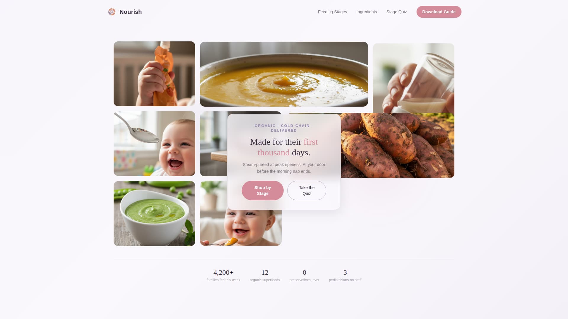 Nourish - Trusted Babyfood Landing Page Template