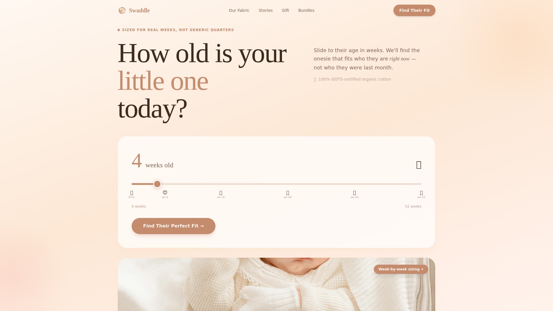 Infant (0-1) Products & Reviews Website Template