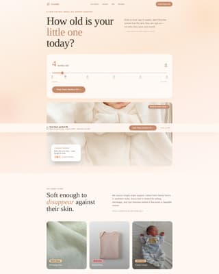 Infant (0-1) Products & Reviews Website Template