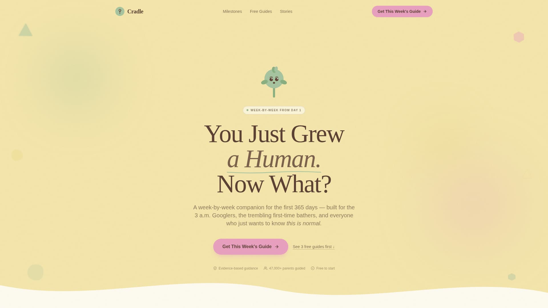 Infant (0-1) Products & Specialist Professional Website Template