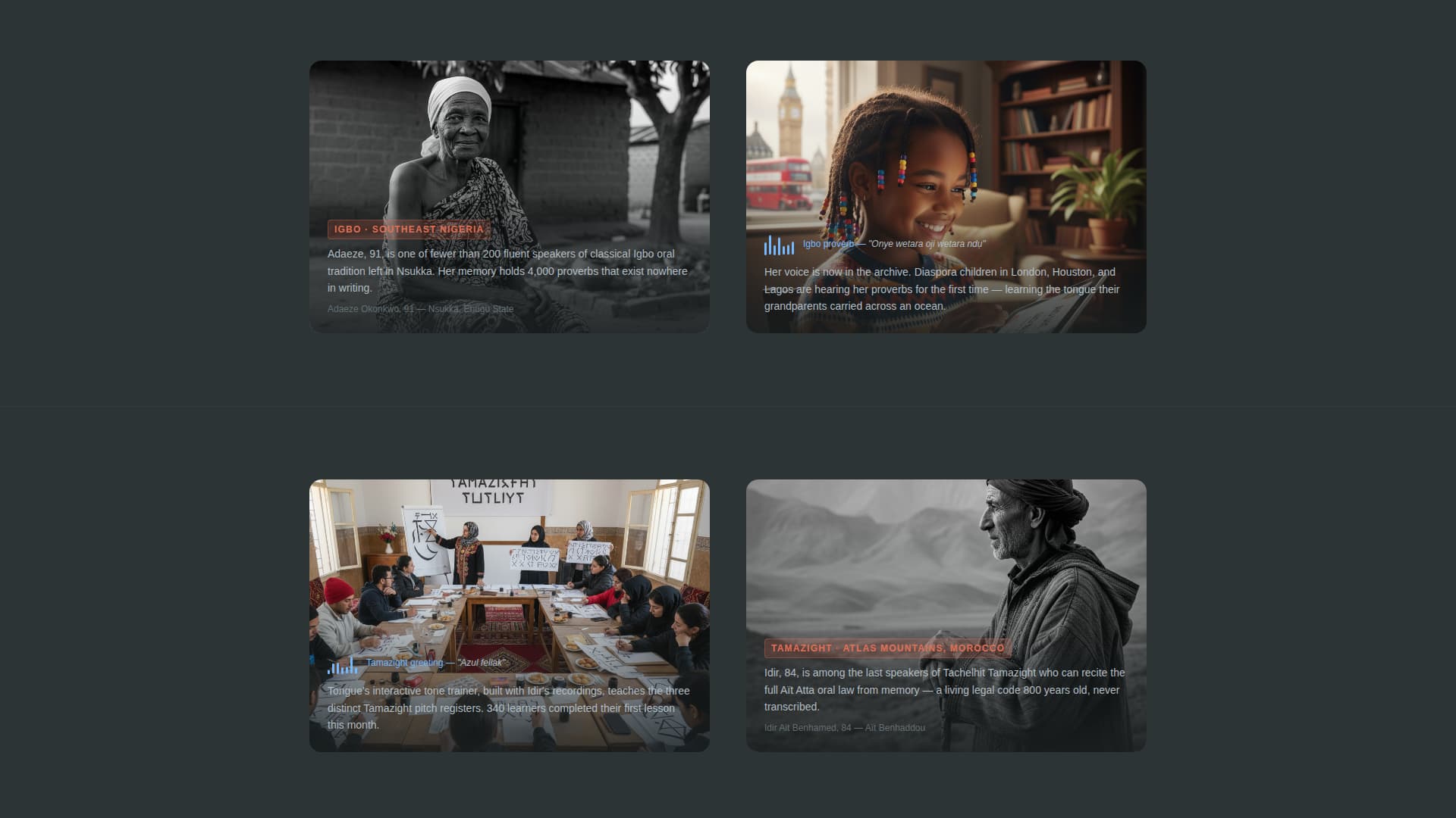 Tongue - Vibrant Languagepreservation Landing Page Template