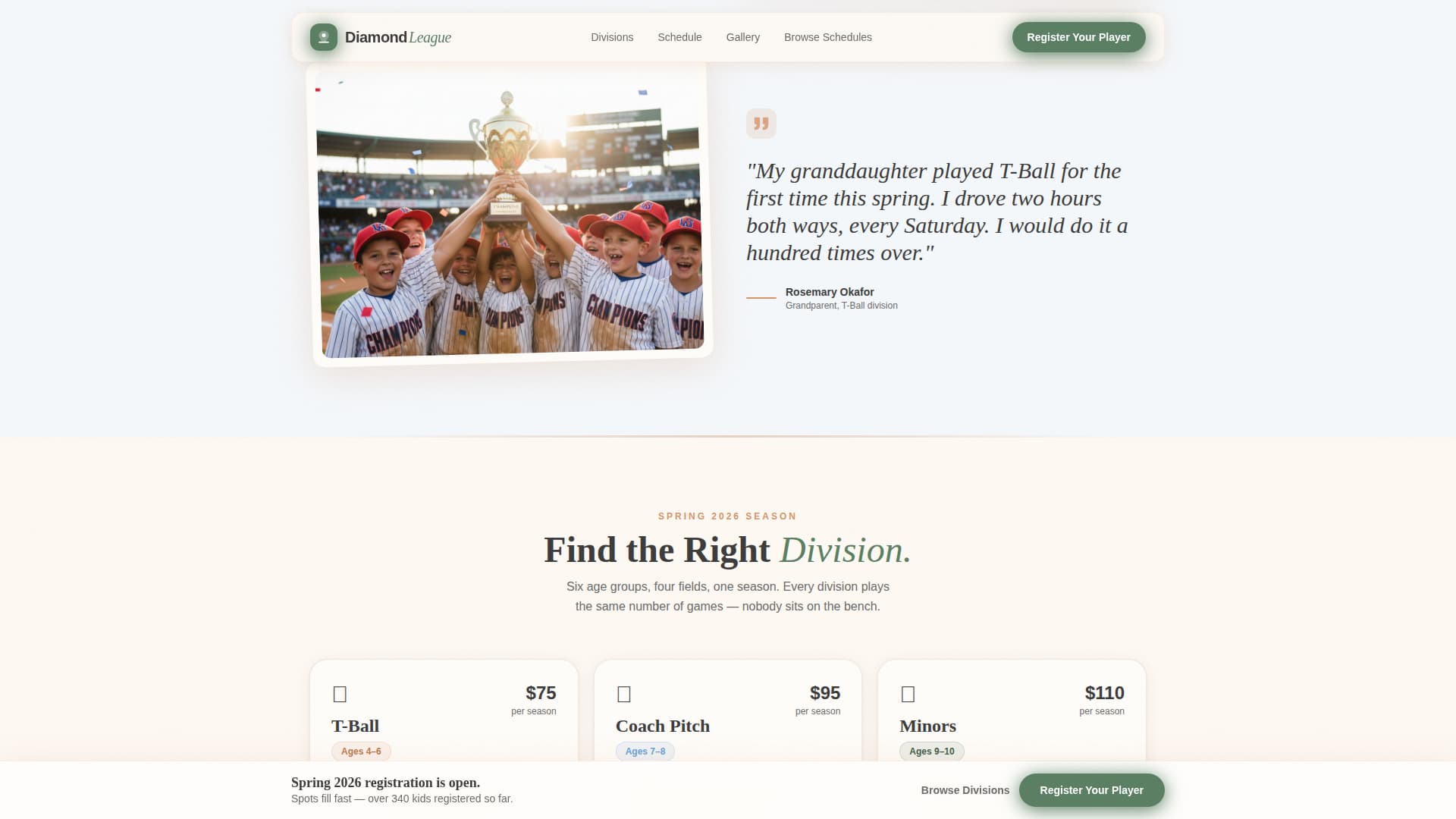 Kids Baseball Professional Website Template