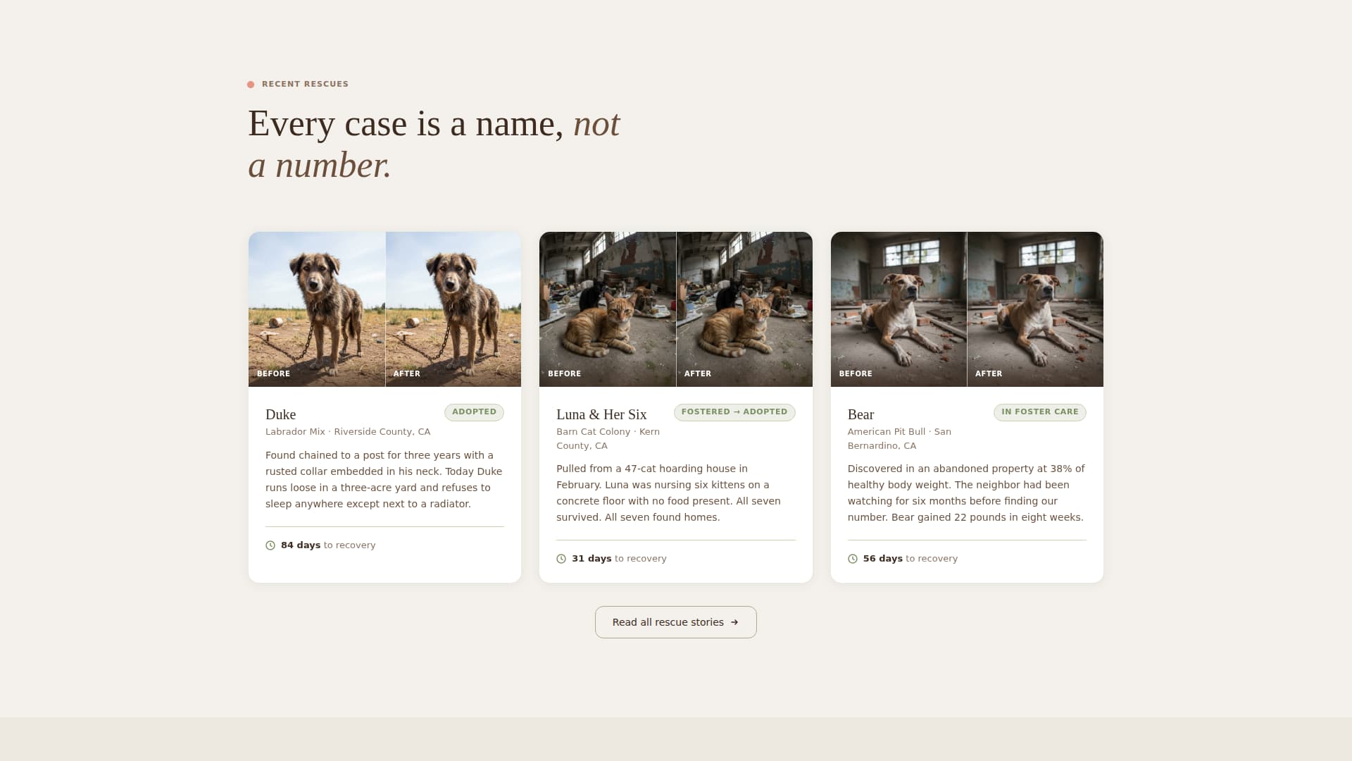 Shelter - Compassionate Animalwelfare Landing Page Template