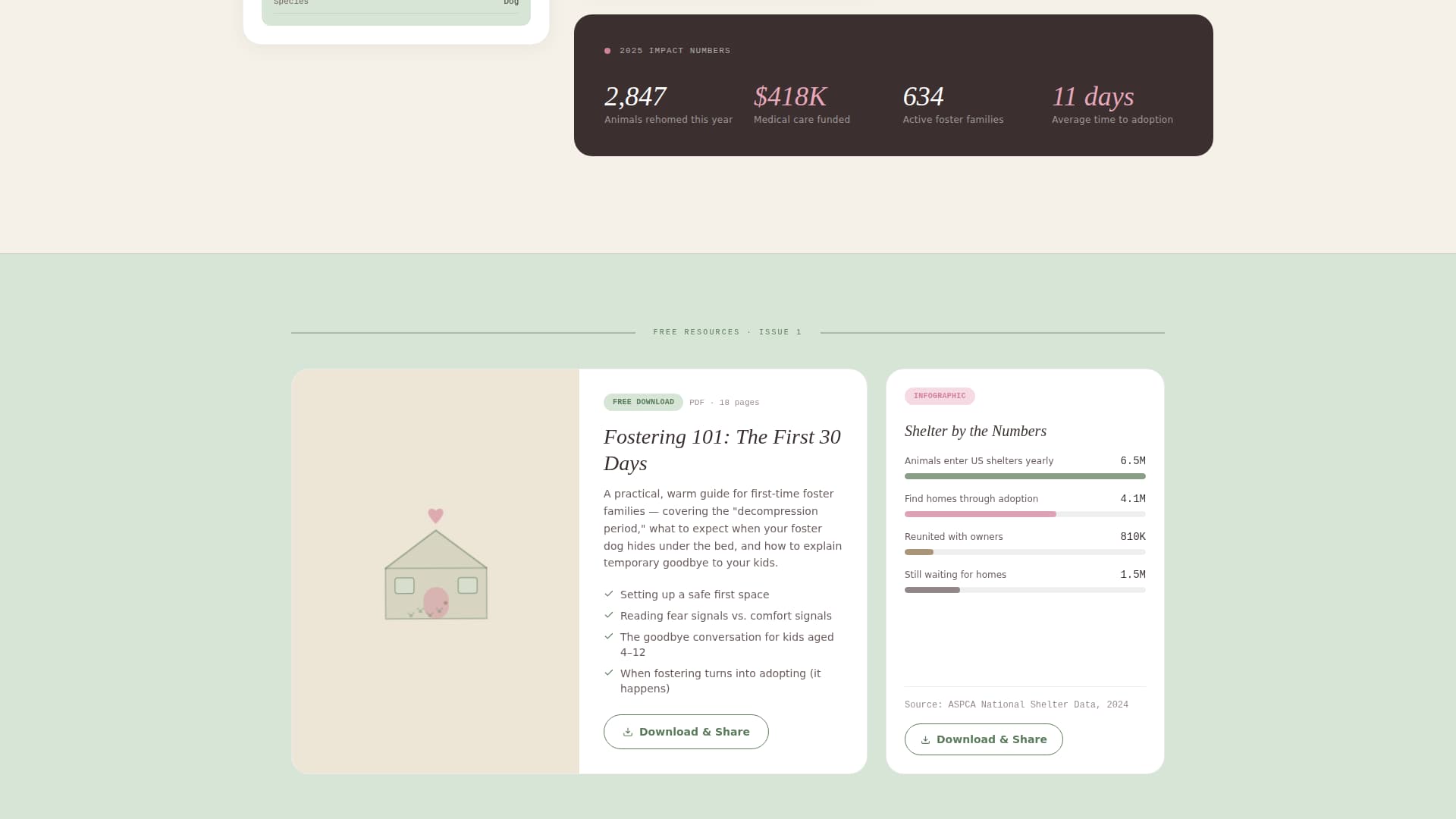 Shelter - Heartfelt Nonprofit Landing Page Template