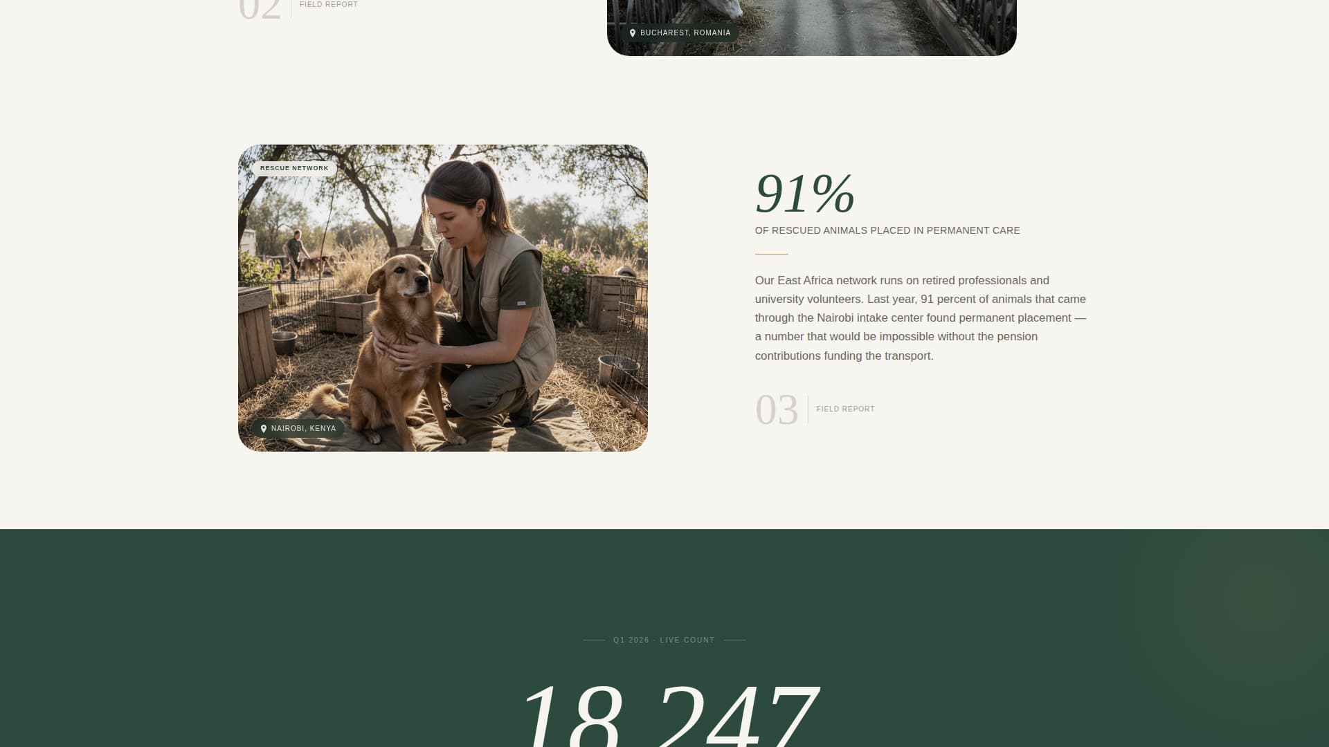 Sanctuary - Compassionate Animalrights Landing Page Template