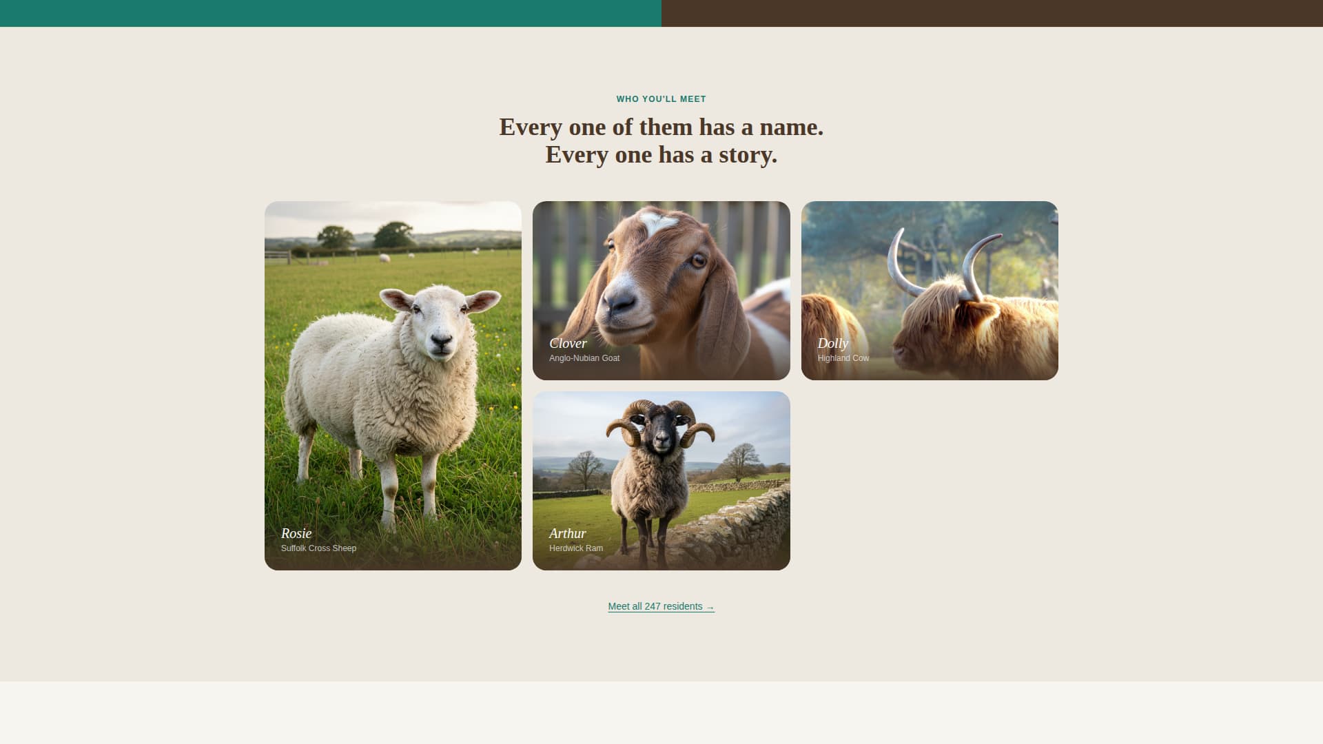 Sanctuary - Heartfelt Animalrights Landing Page Template