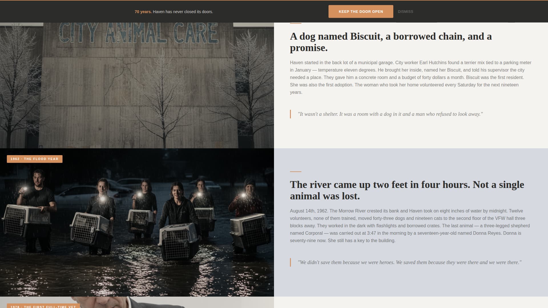 Haven - Heartfelt Shelter Landing Page Template