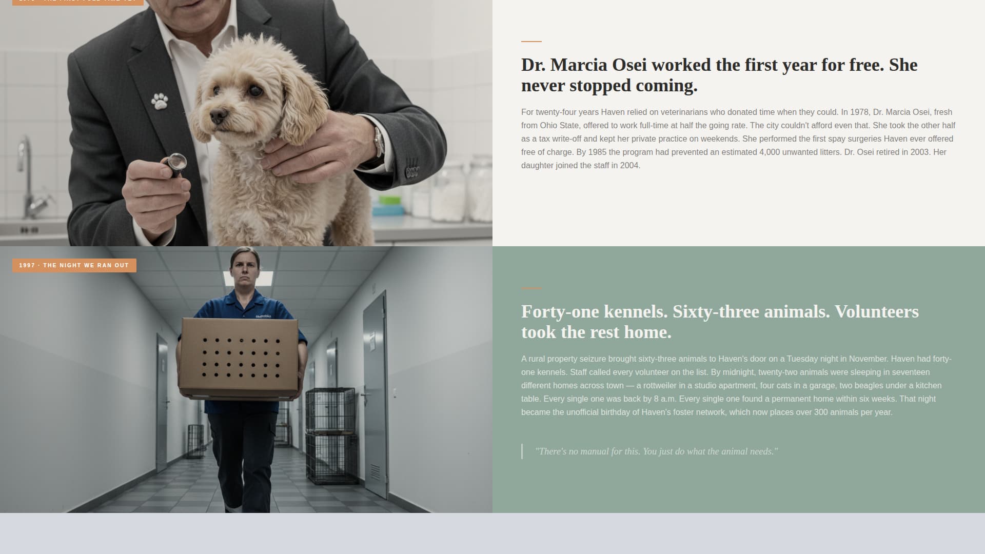 Haven - Heartfelt Shelter Landing Page Template