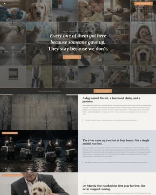 Haven - Heartfelt Shelter Landing Page Template