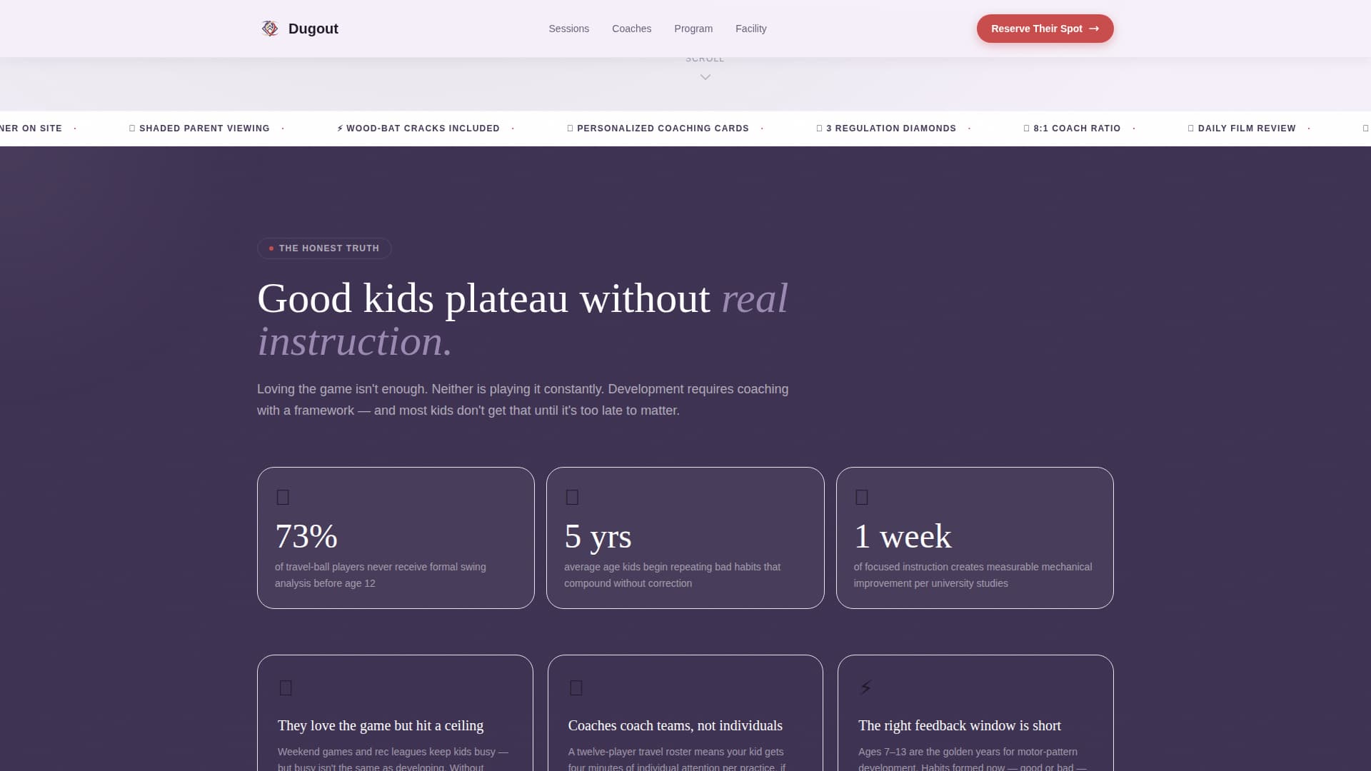 Kids Baseball Specialist Professional Website Template