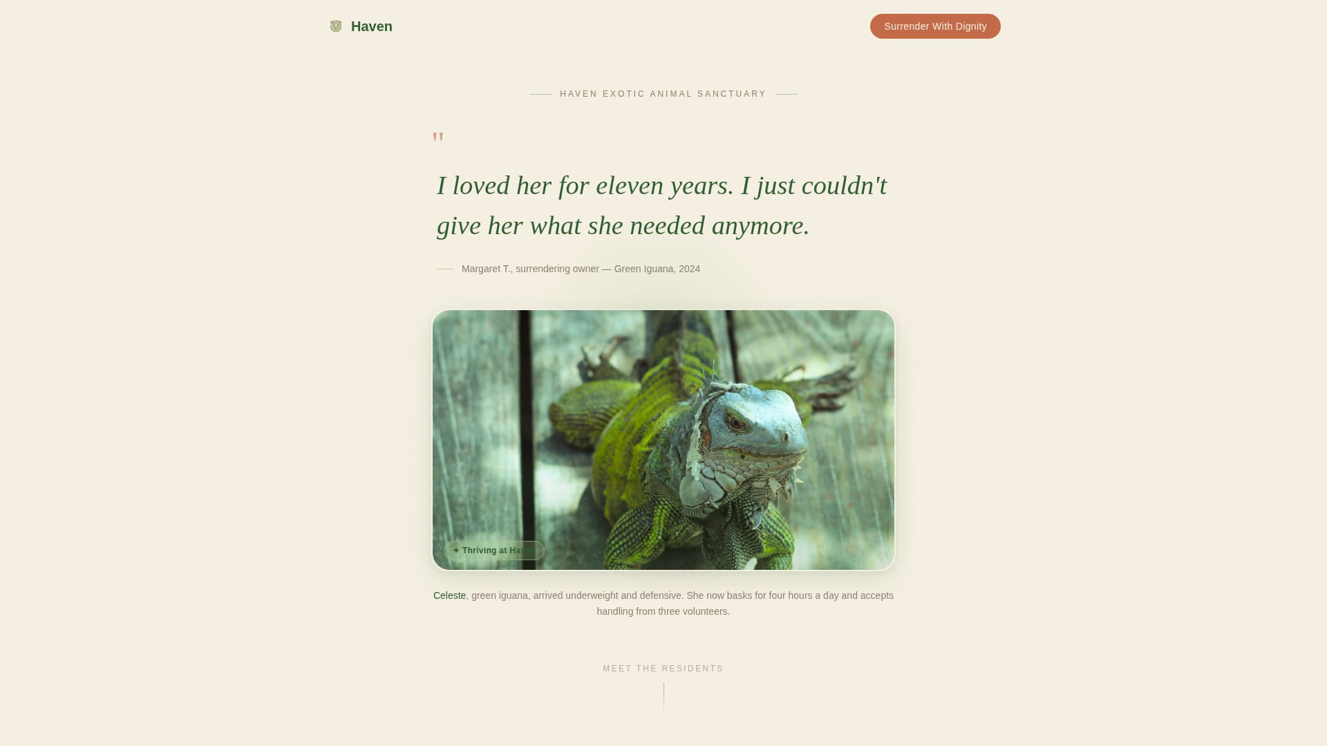 Haven - Compassionate Rescue Landing Page Template