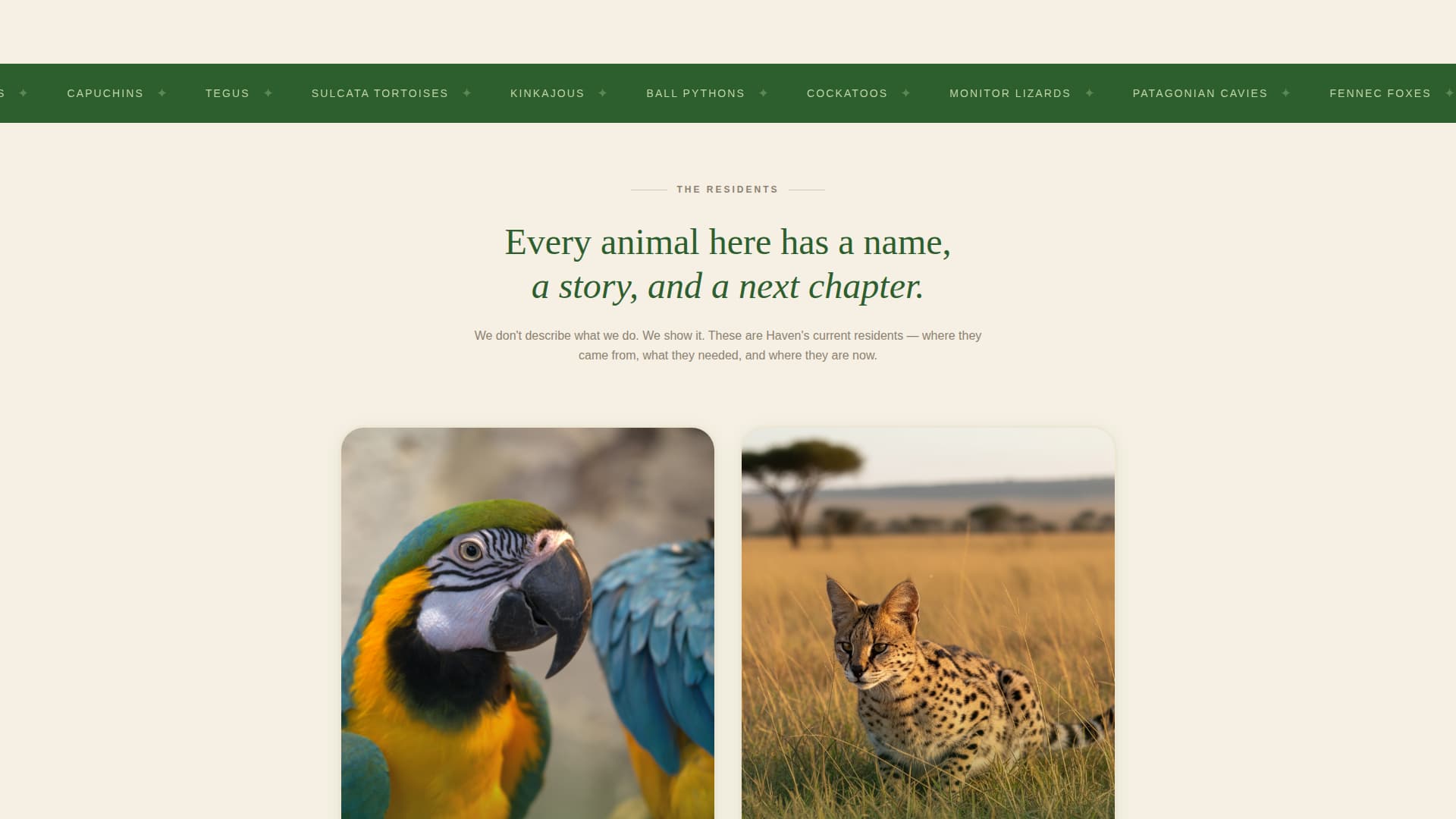 Haven - Compassionate Rescue Landing Page Template