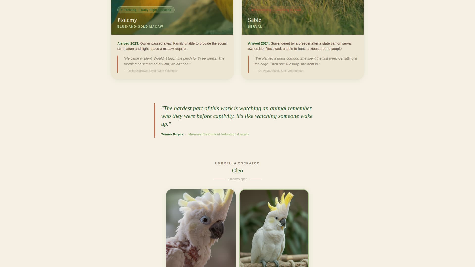 Haven - Compassionate Rescue Landing Page Template