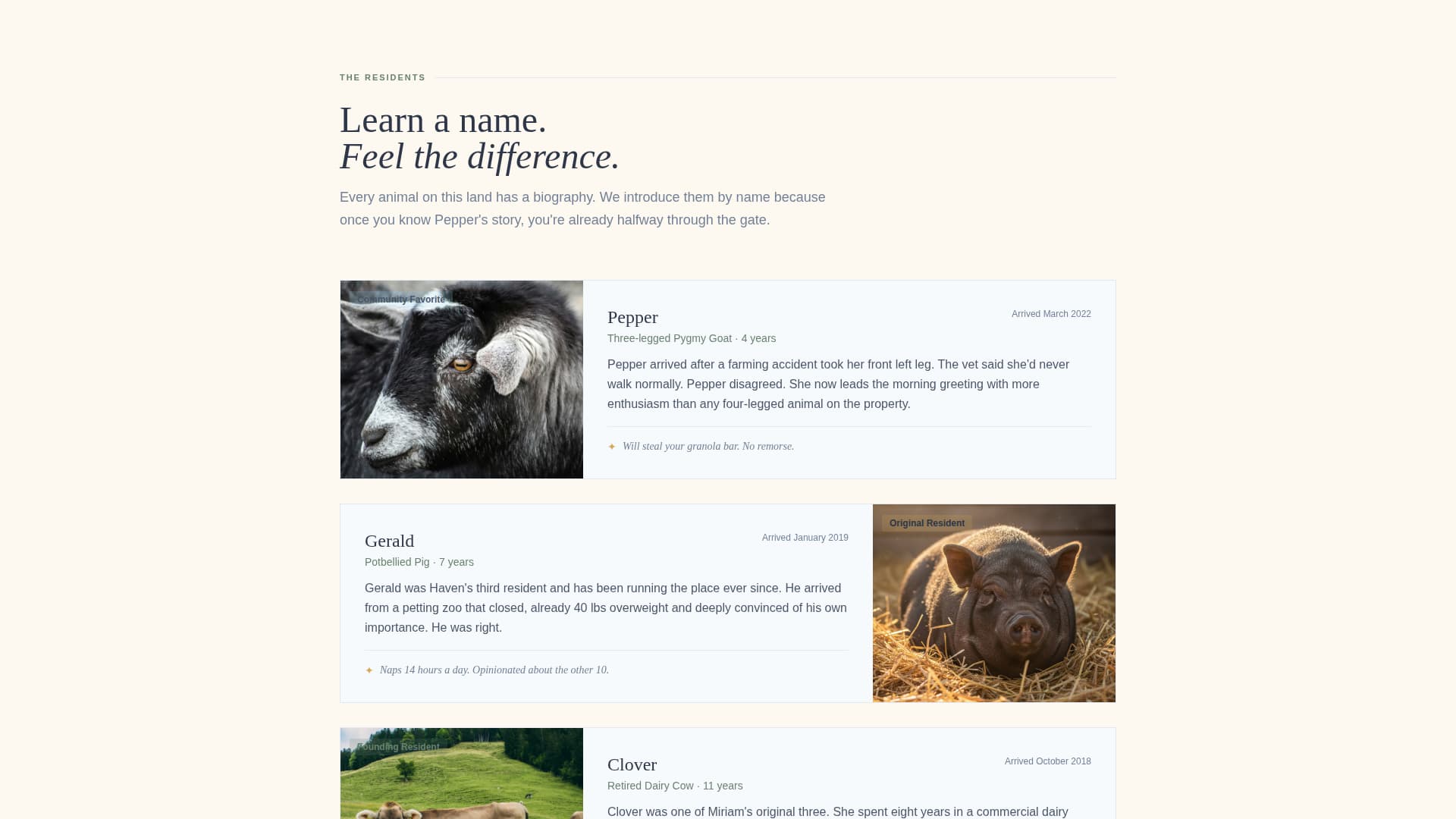 Haven - Heartfelt Sanctuary Landing Page Template