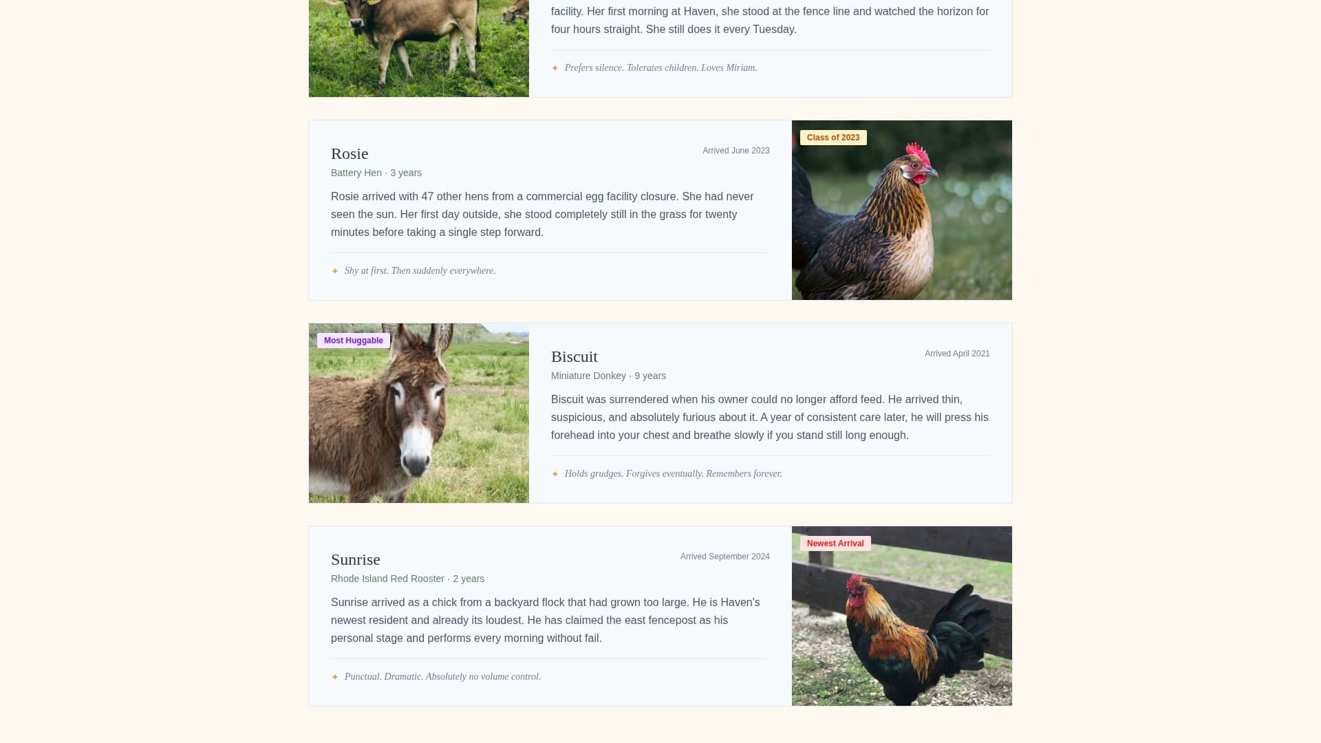 Haven - Heartfelt Sanctuary Landing Page Template