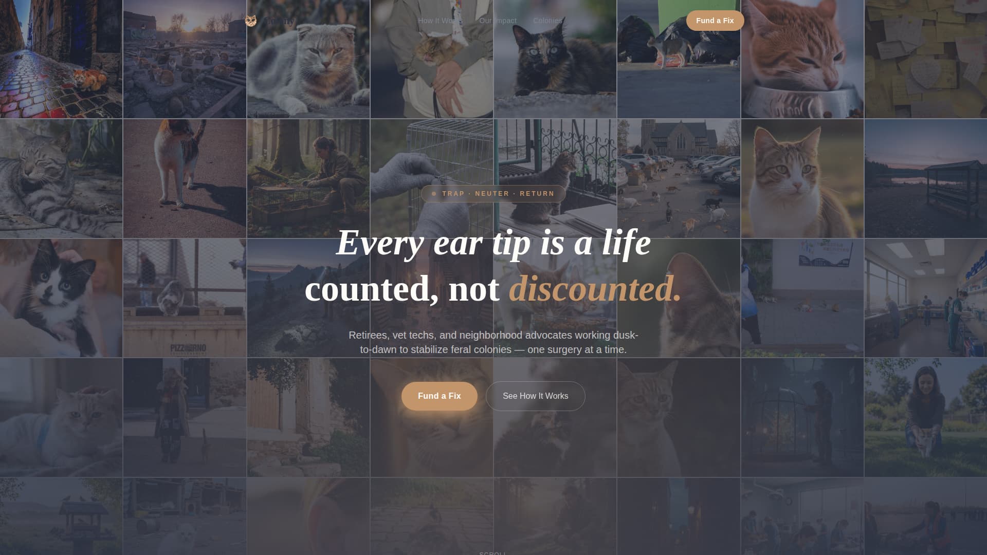 Colony - Heartfelt Tnr Landing Page Template
