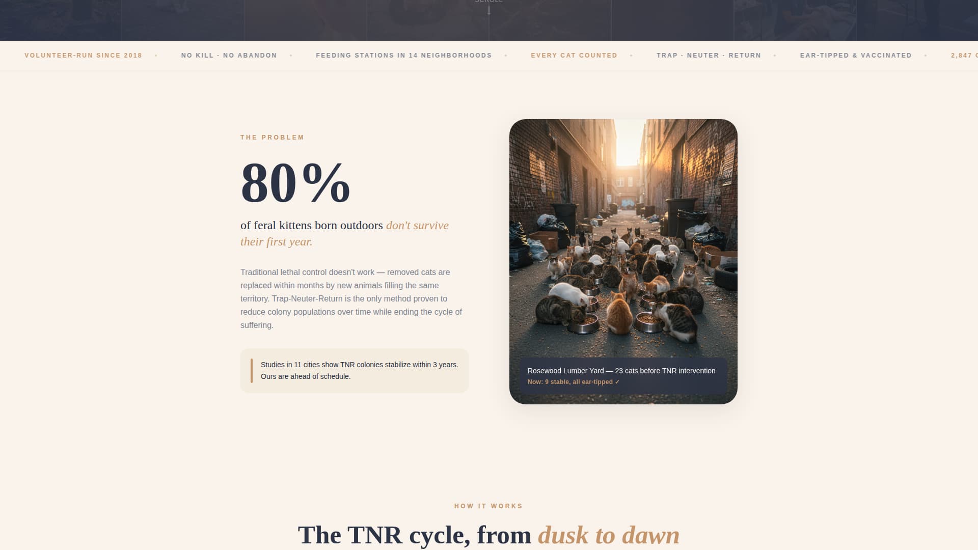 Colony - Heartfelt Tnr Landing Page Template