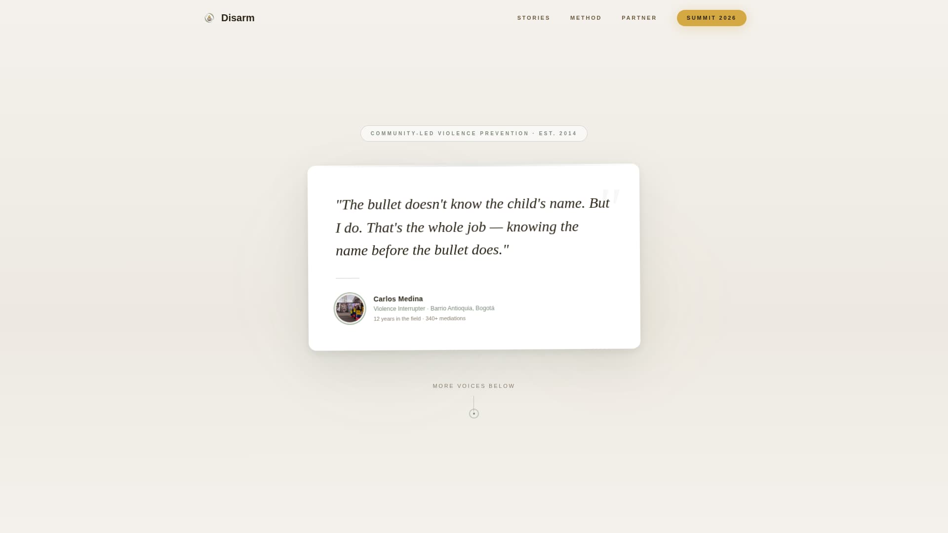 Disarm - Transformative Peacebuilding Landing Page Template