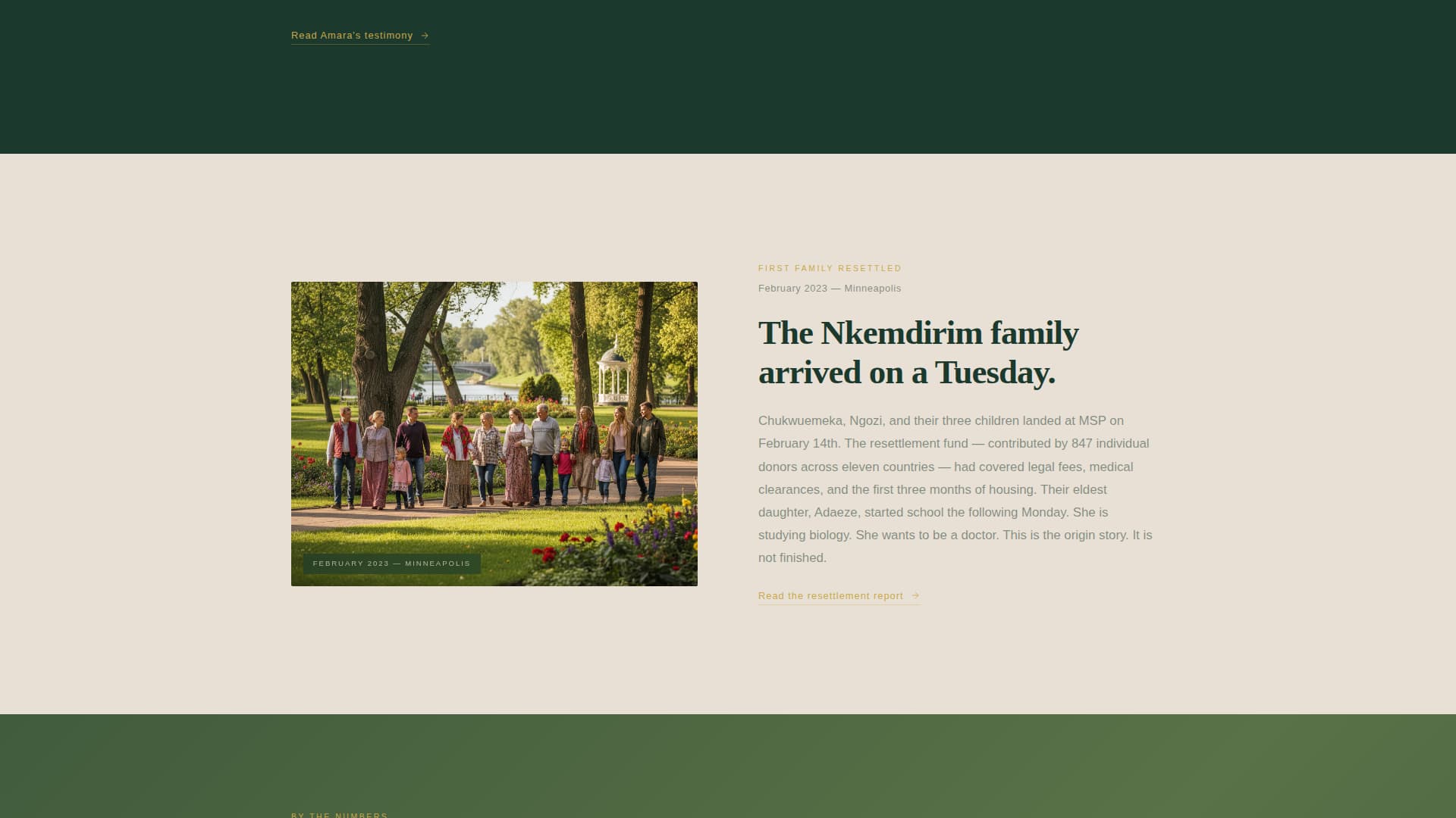 Testify — Powerful Social Justice Landing Page Template