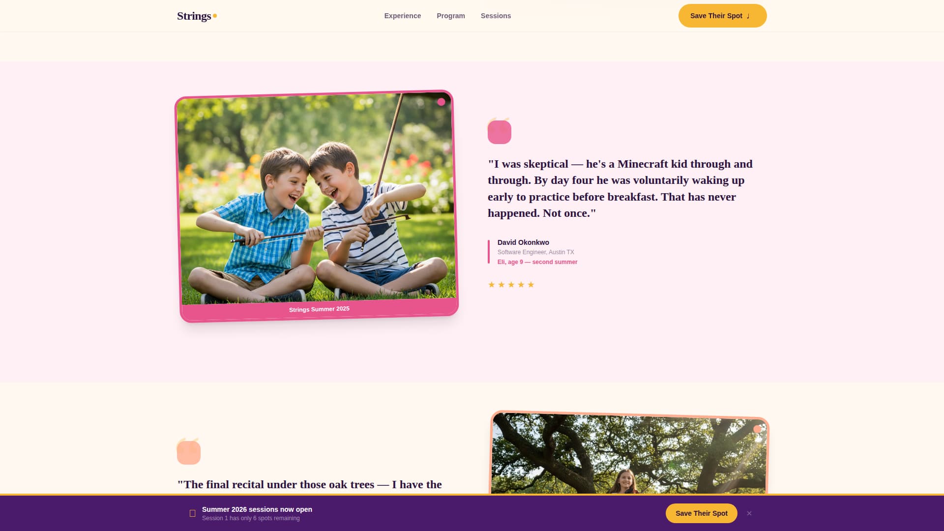 Kids Violin Specialist Reviews Website Template