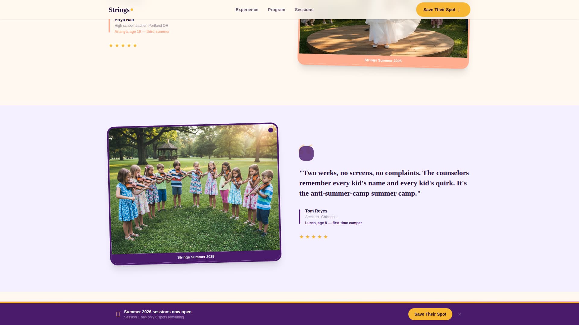 Kids Violin Specialist Reviews Website Template