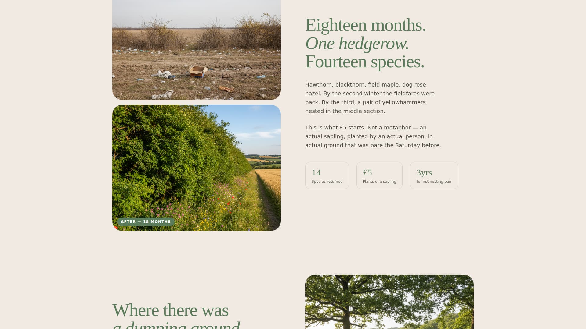 Nexus — Heartfelt Social Connection Landing Page Template