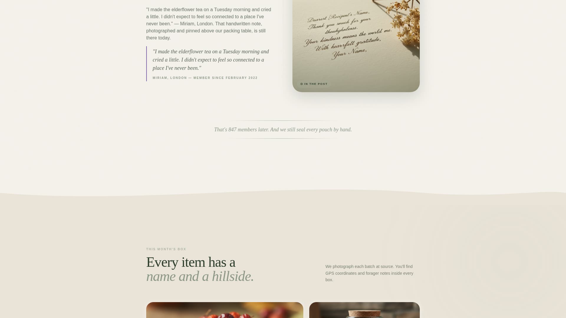 Belong - Enchanting Forager Landing Page Template