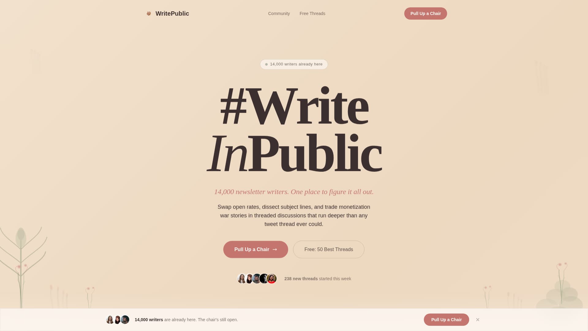 Writepublic - Thriving Newsletterwriters Landing Page Template