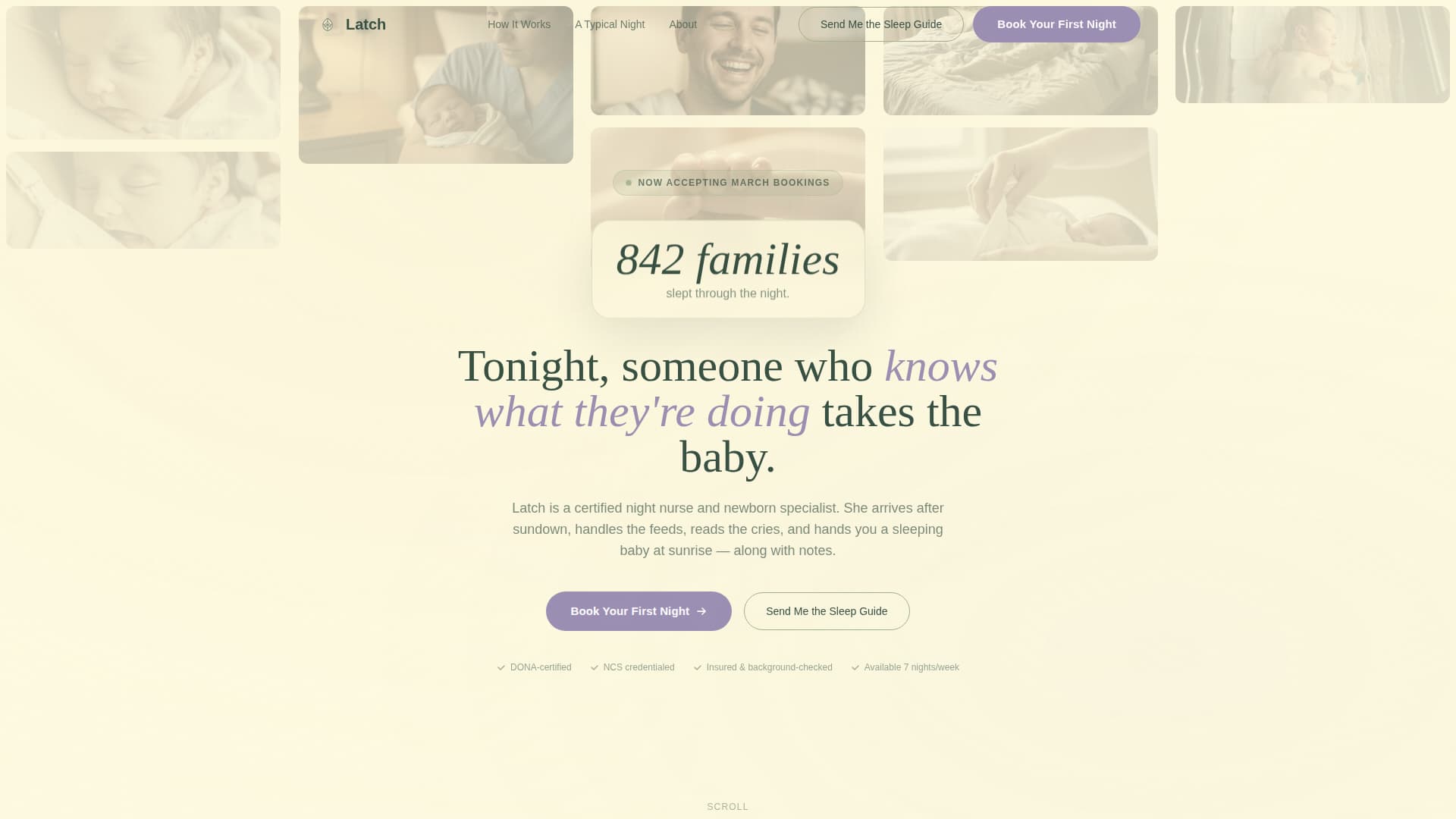 Nanny & Au Pair Specialist Booking Website Template