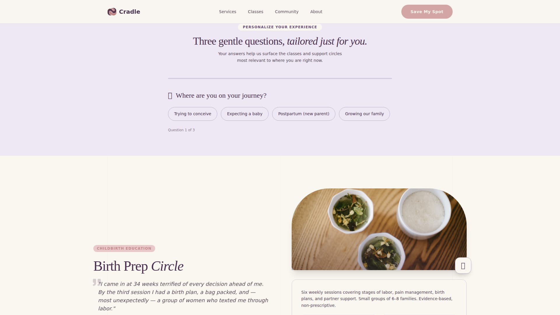 Maternity & Baby Care Professional Website Template