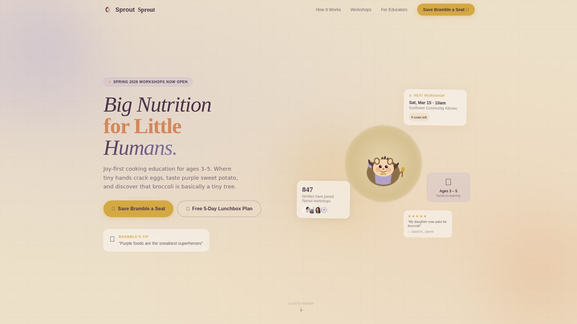 Preschool (3-5) Products & Professional Website Template