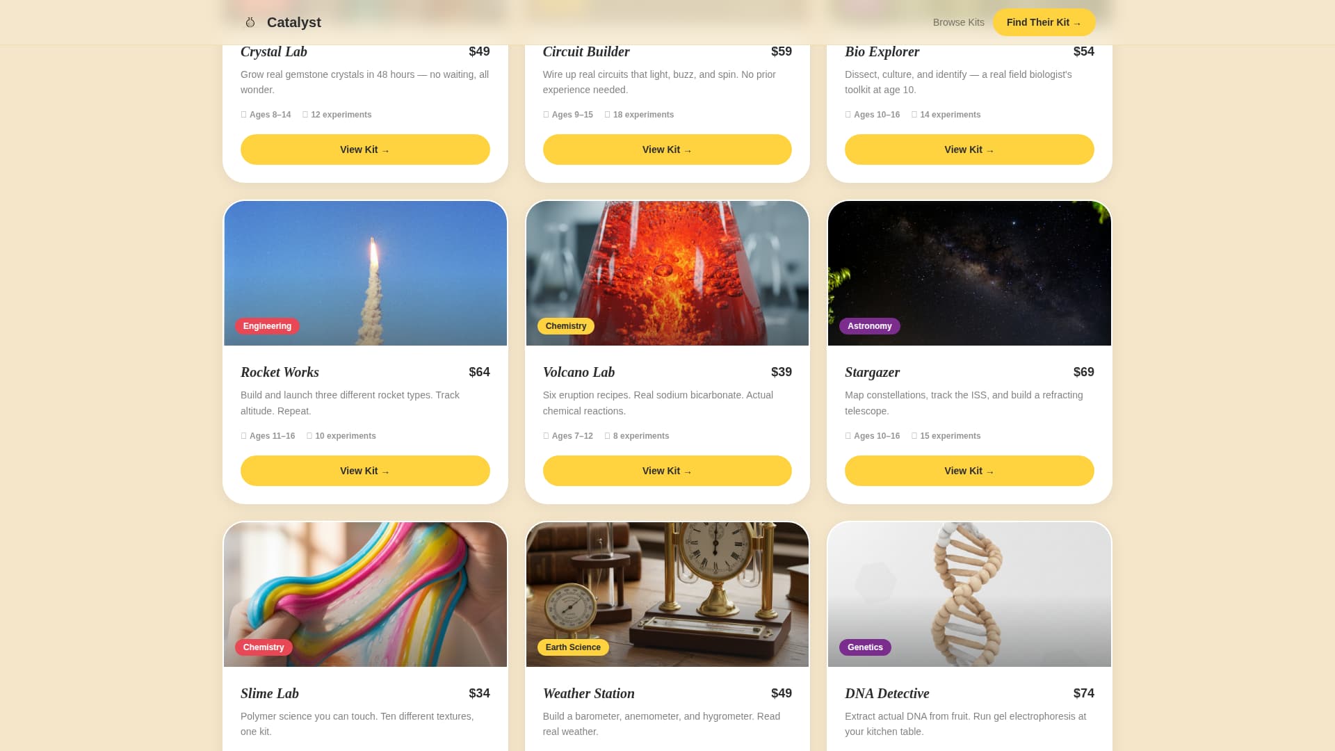 Education & Learning Toy Advanced Professional Website Template