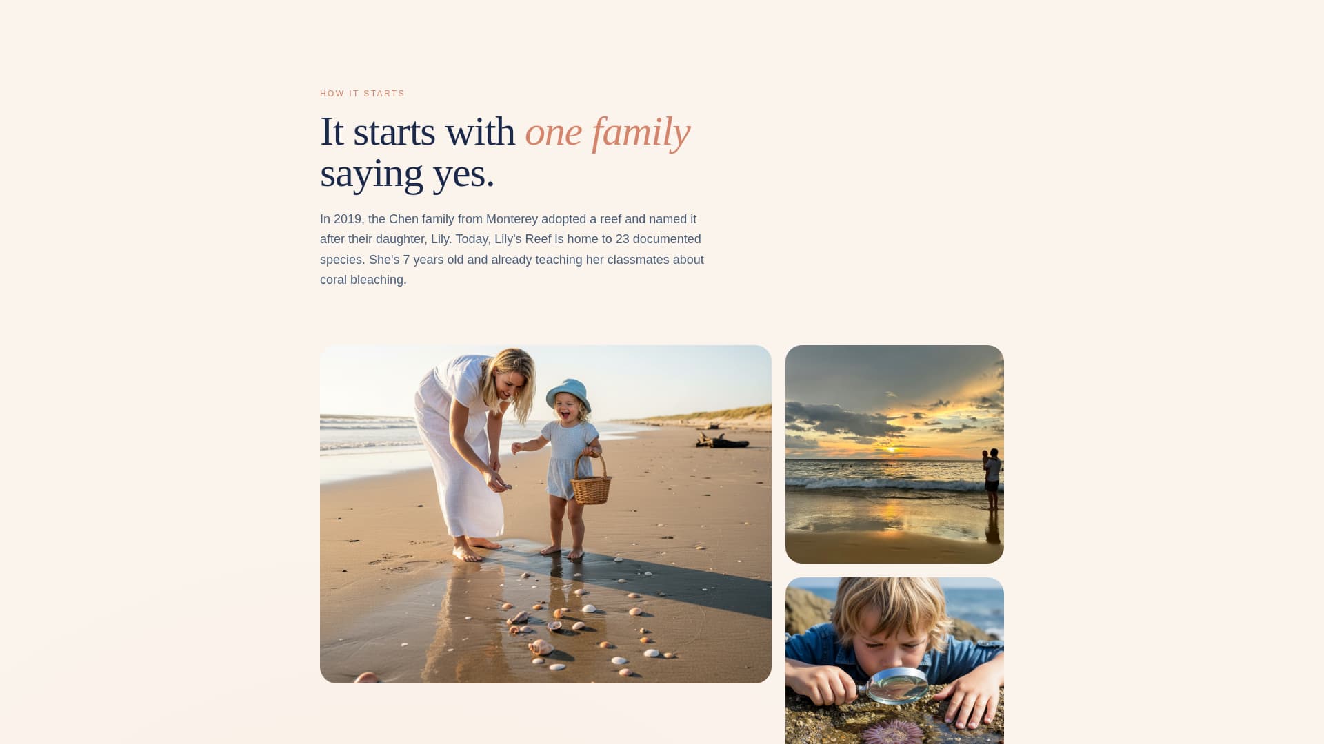 Tide - Heartfelt Conservation Landing Page Template