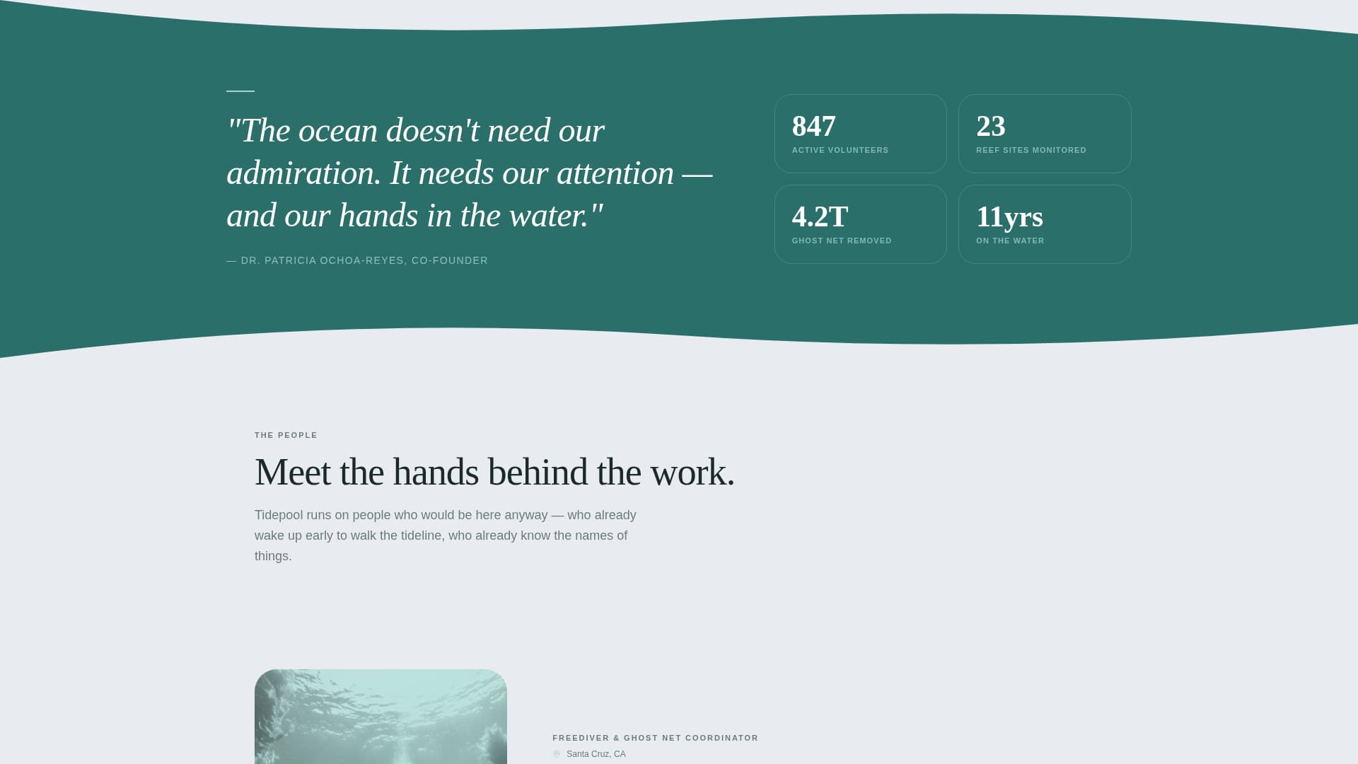 Tidepool - Inspiring Oceanconservation Landing Page Template
