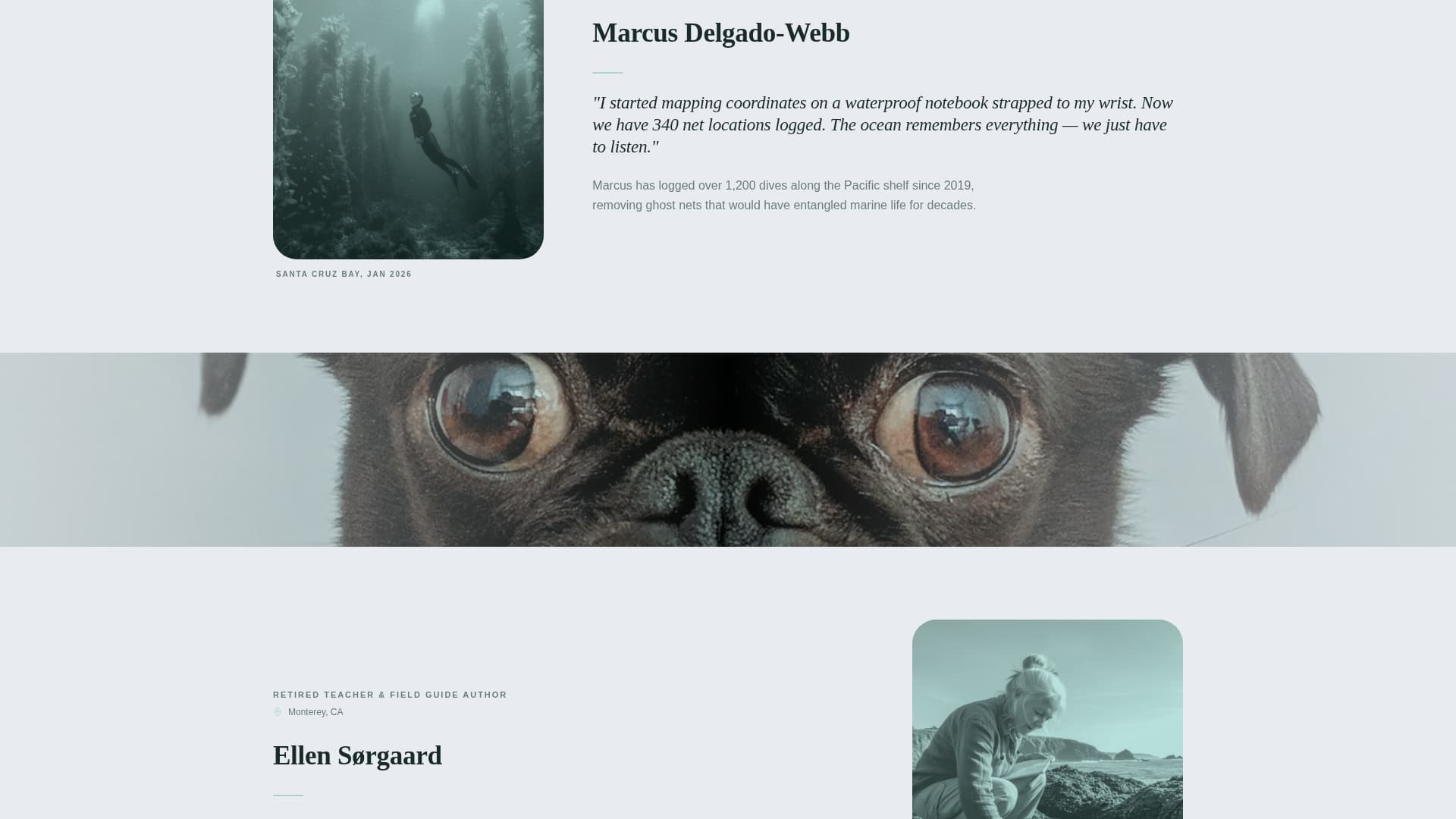 Tidepool - Inspiring Oceanconservation Landing Page Template