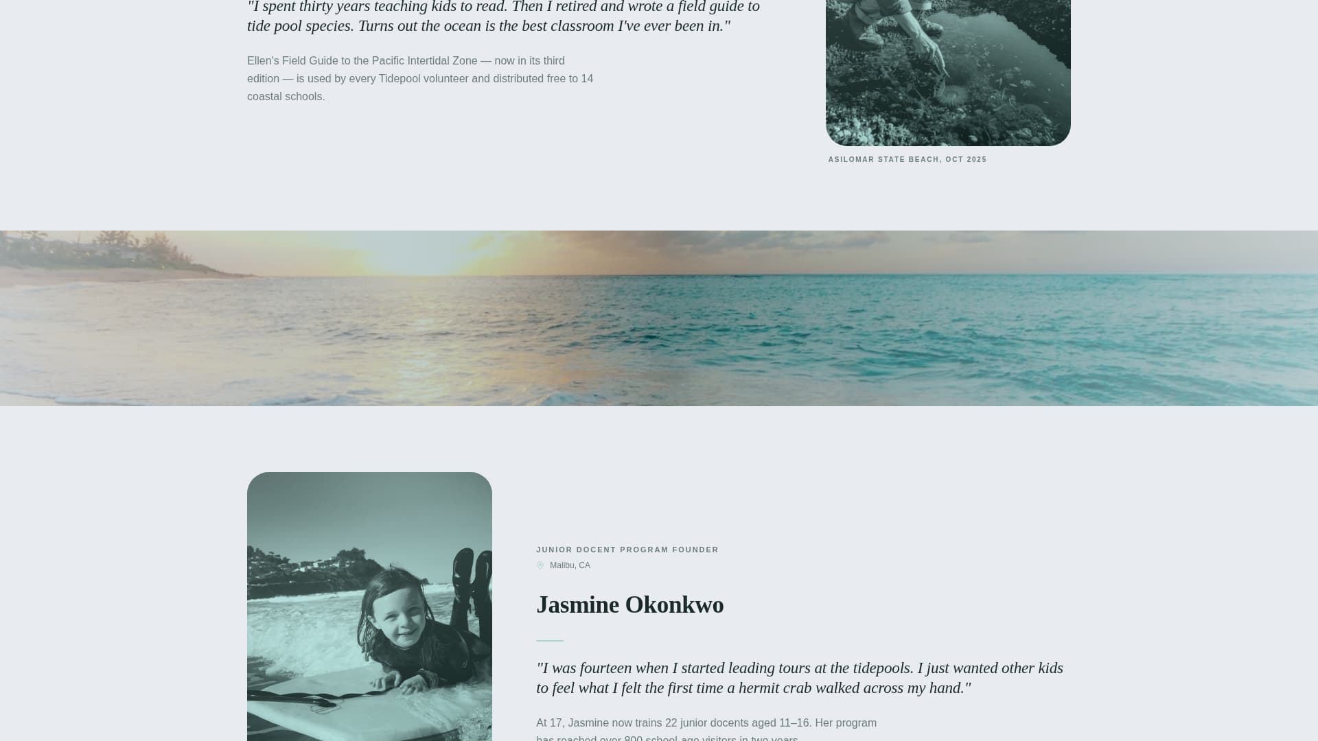 Tidepool - Inspiring Oceanconservation Landing Page Template