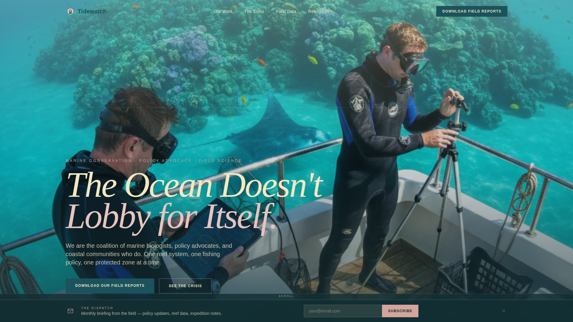 Tidewatch - Powerful Oceanconservation Landing Page Template