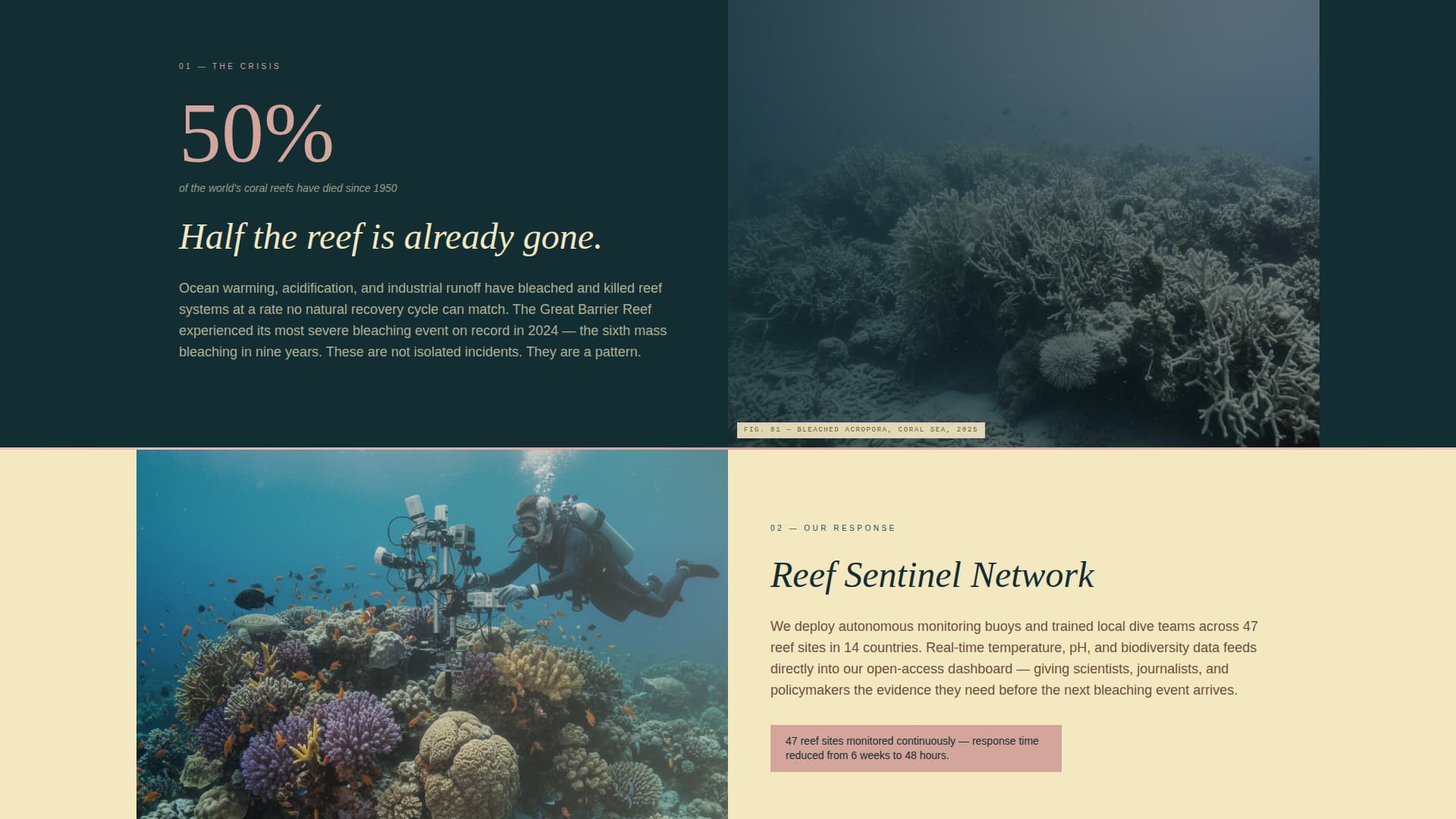 Tidewatch - Powerful Oceanconservation Landing Page Template