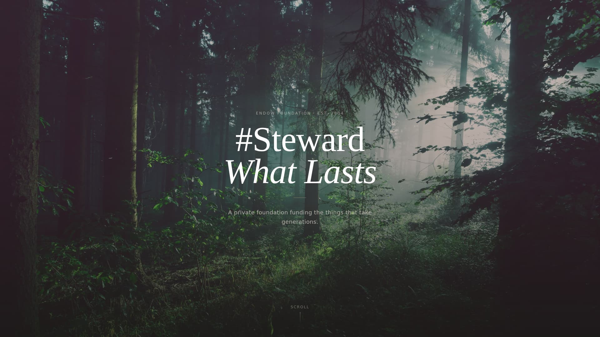 Endow - Timeless Foundation Landing Page Template