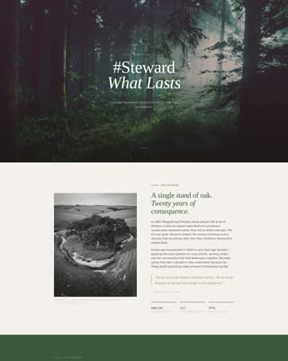 Endow - Timeless Foundation Landing Page Template