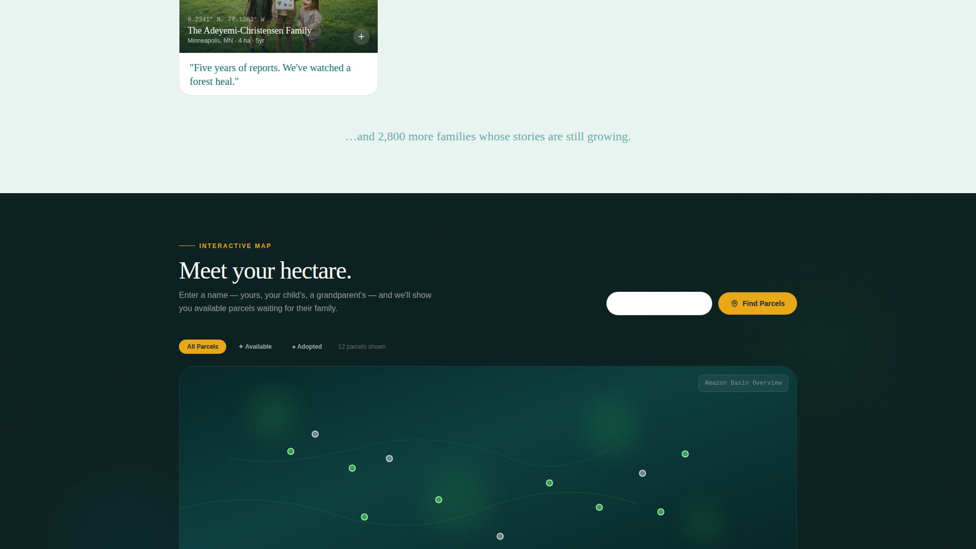 Canopy - Generational Rainforest Landing Page Template