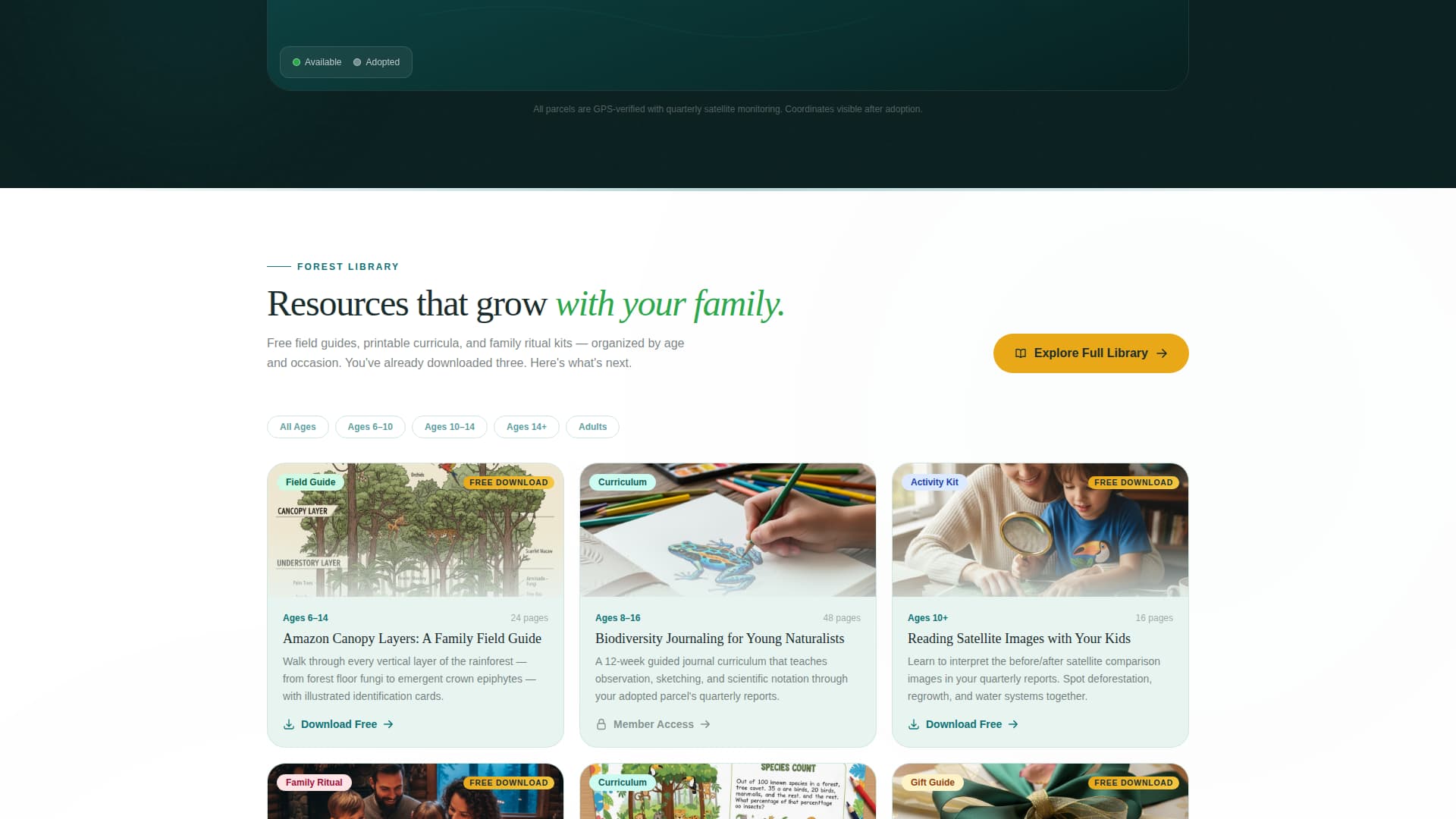 Canopy - Generational Rainforest Landing Page Template