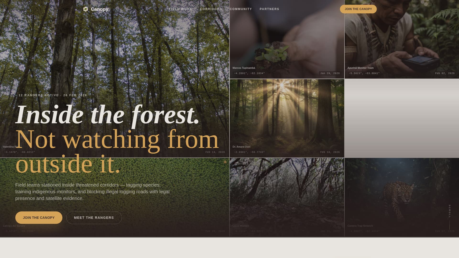 Canopy - Immersive Rainforestprotection Landing Page Template