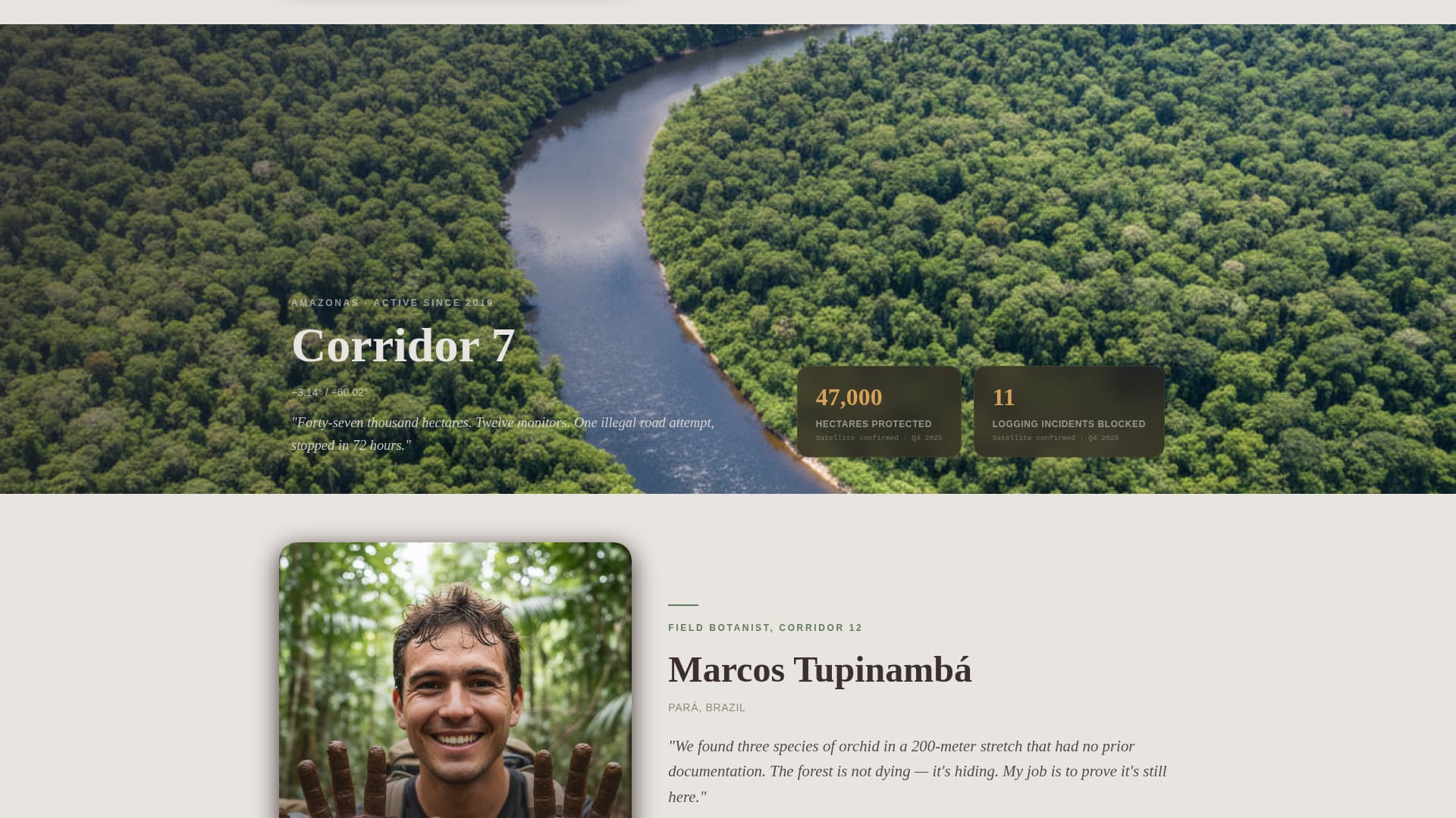 Canopy - Immersive Rainforestprotection Landing Page Template
