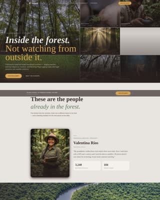 Canopy - Immersive Rainforestprotection Landing Page Template