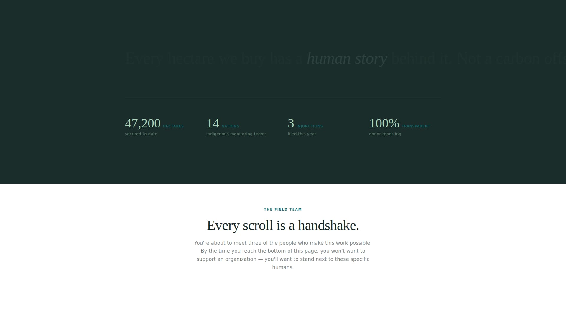 Canopy - Impactful Rainforest Landing Page Template