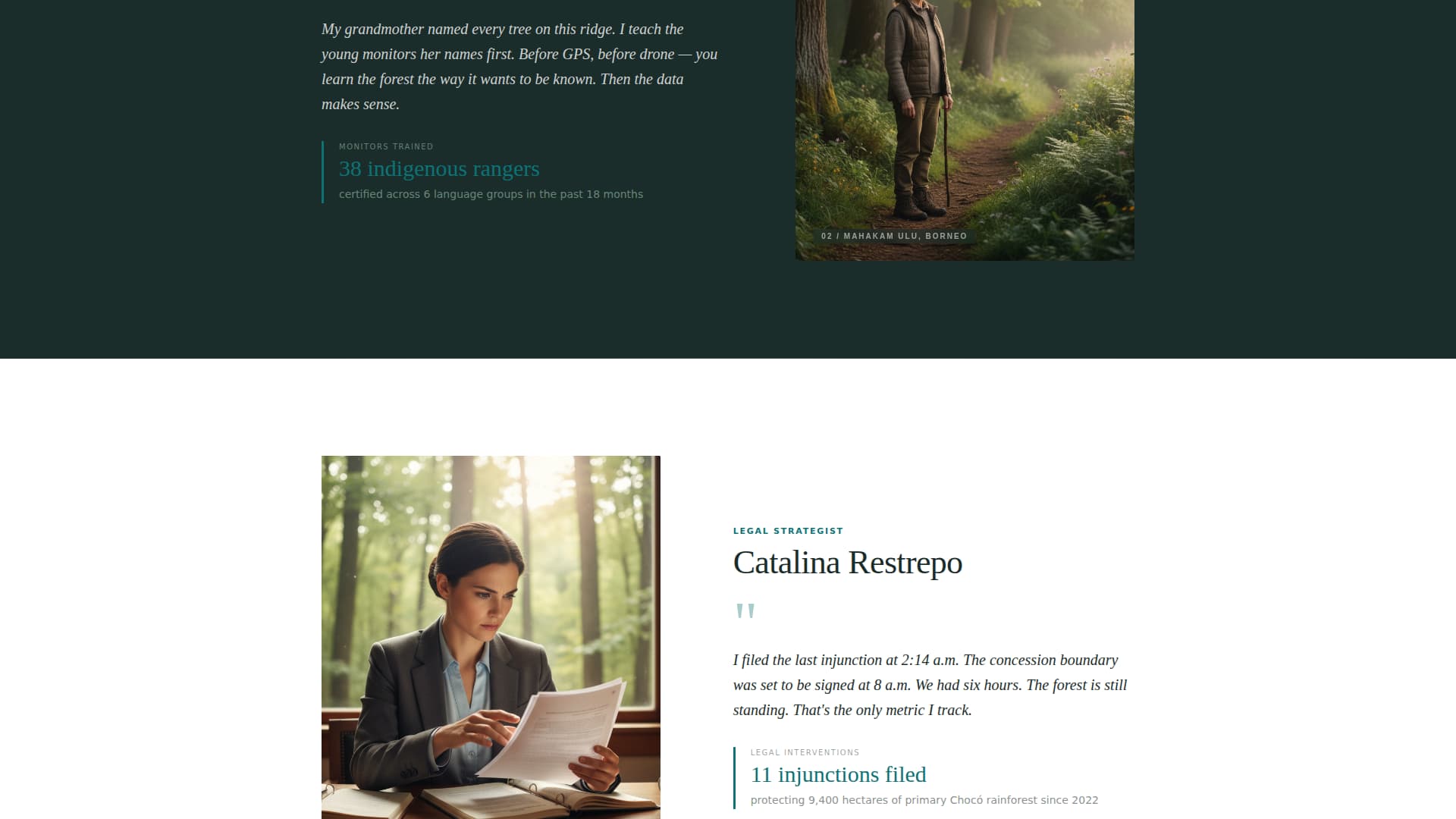 Canopy - Impactful Rainforest Landing Page Template