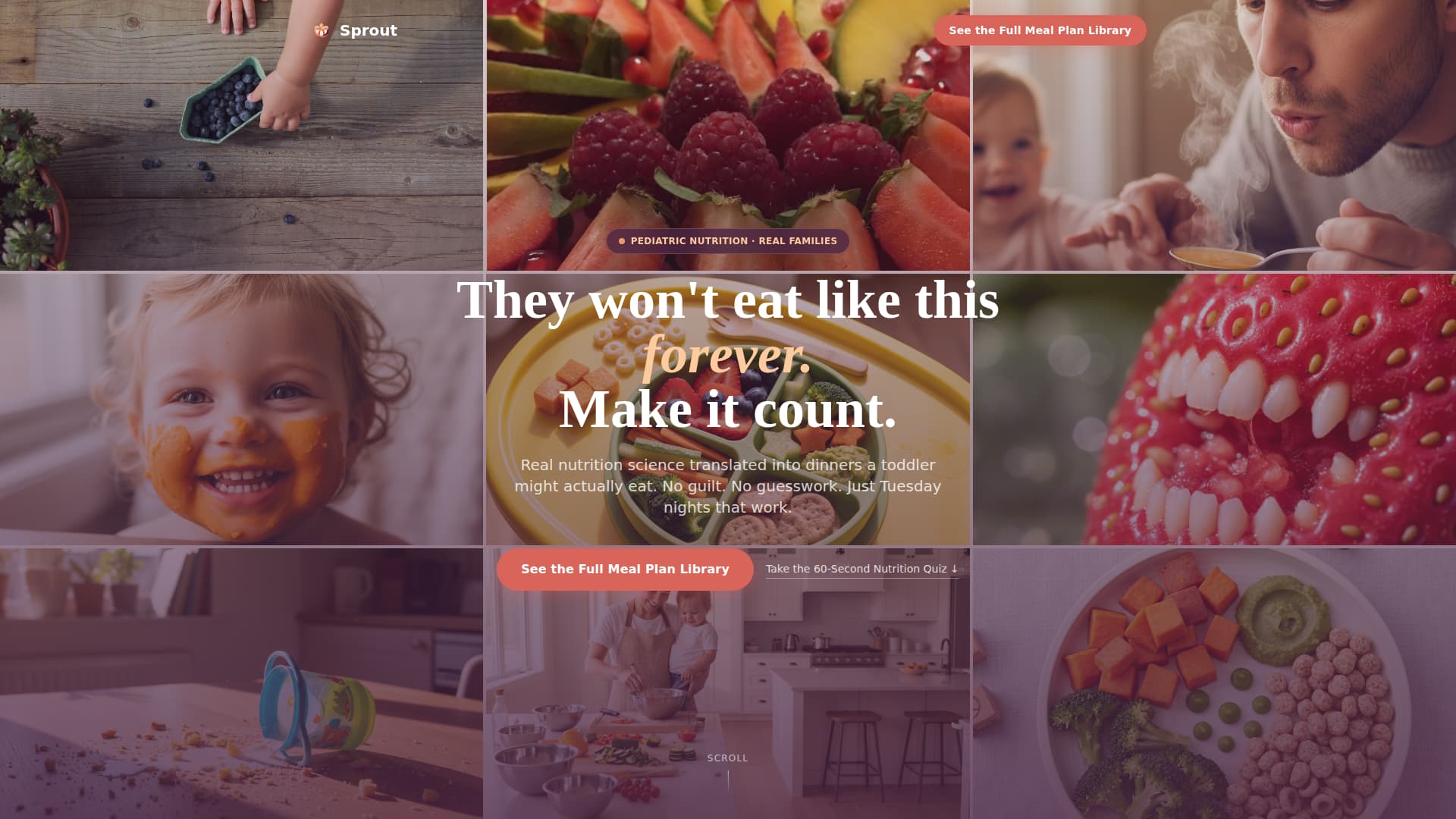 Toddler (1-3) Products & Complete Professional Website Template