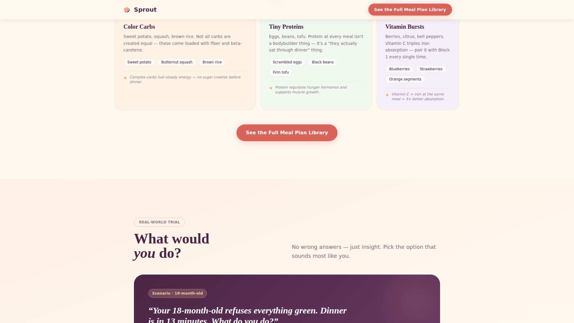 Toddler (1-3) Products & Complete Professional Website Template